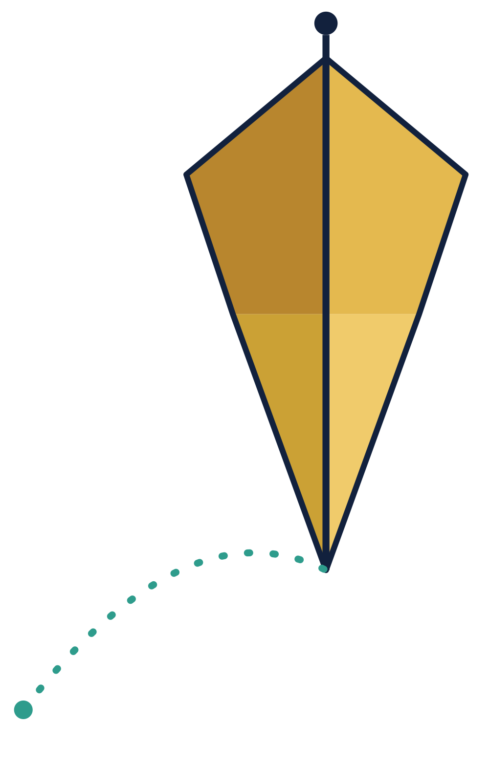 Voyage Point kite